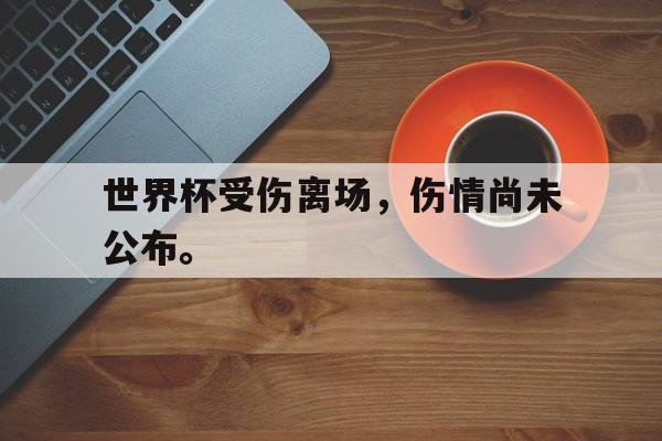 金年会-世界杯受伤离场，伤情尚未公布。
